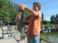 /album/pesce-gatto/a293409-184739258257867-100001653836856-427625-2780208-n-gif/