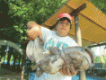 /album/pesce-gatto/a294784-197374120327714-100001653836856-465060-216859474-n-gif/